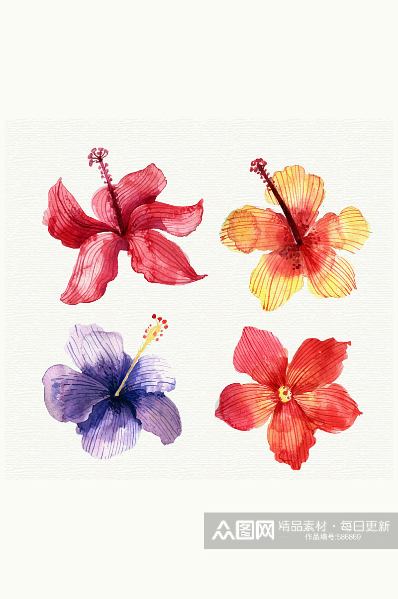 4款水彩绘热带花朵矢量素材素材