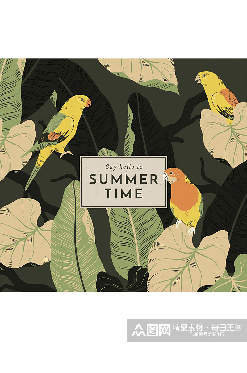 复古手绘夏季鹦鹉和叶子矢量素材素材