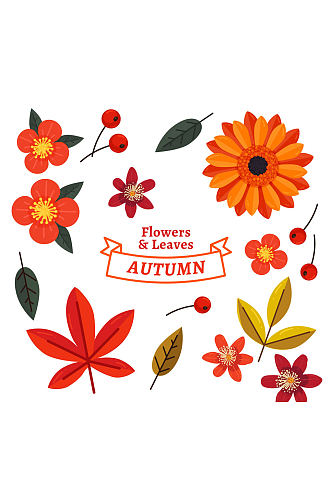 16款彩色秋季花卉和叶子矢量图