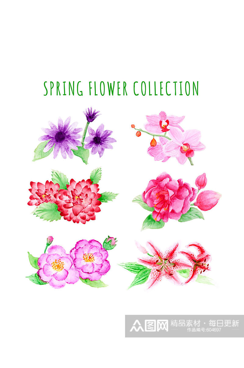 6款彩绘春季花卉矢量素材素材