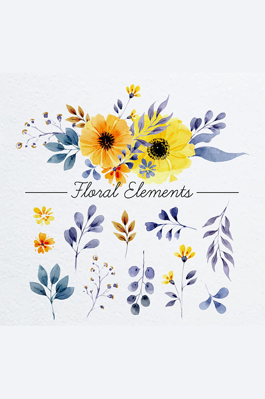 12款水彩绘花卉和叶子矢量图