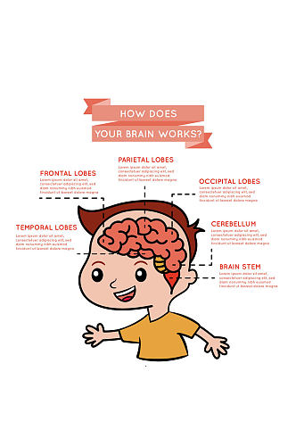 创意男孩大脑运作信息图矢量素材大脑分析图