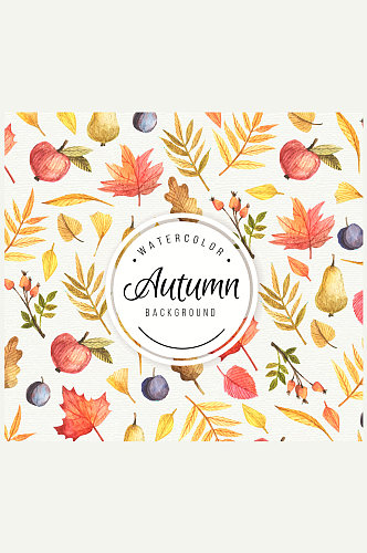 彩绘秋季叶子和水果背景矢量素材