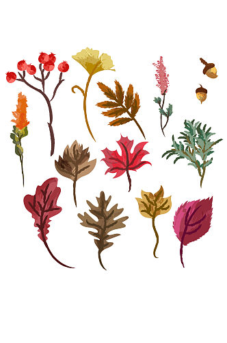 16款彩绘秋季植物设计矢量图