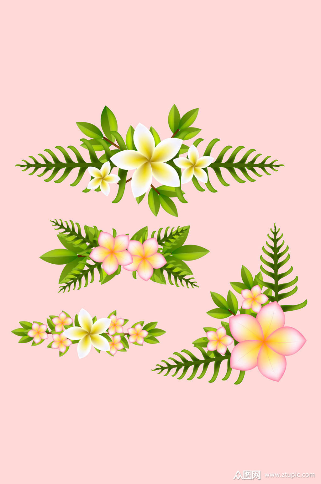 4款白色鸡蛋花和棕榈树叶花边矢量图素材