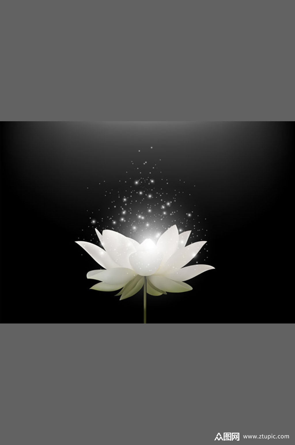 简约精美白色莲花矢量素材