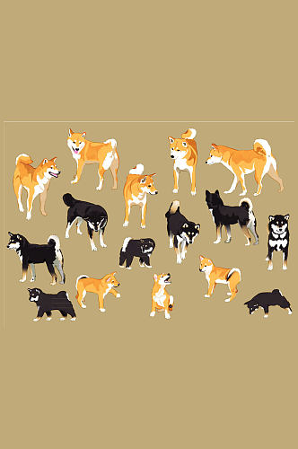 16款彩绘日本四国犬和柴犬矢量素材