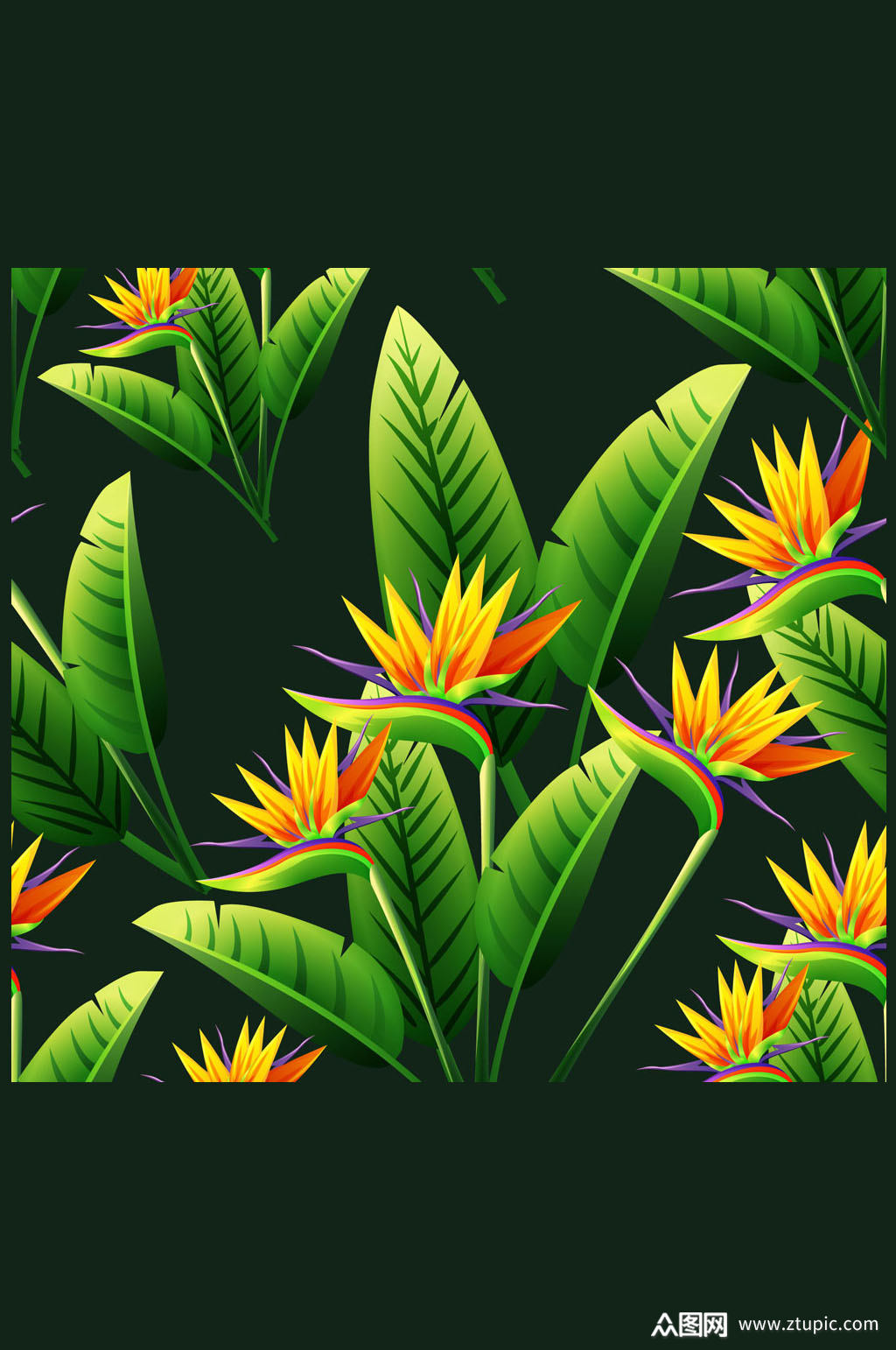 创意鹤望兰花矢量素材