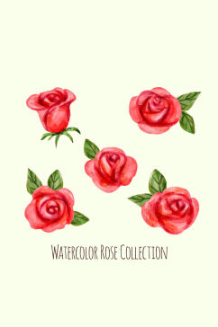 5款水彩绘红玫瑰矢量素材