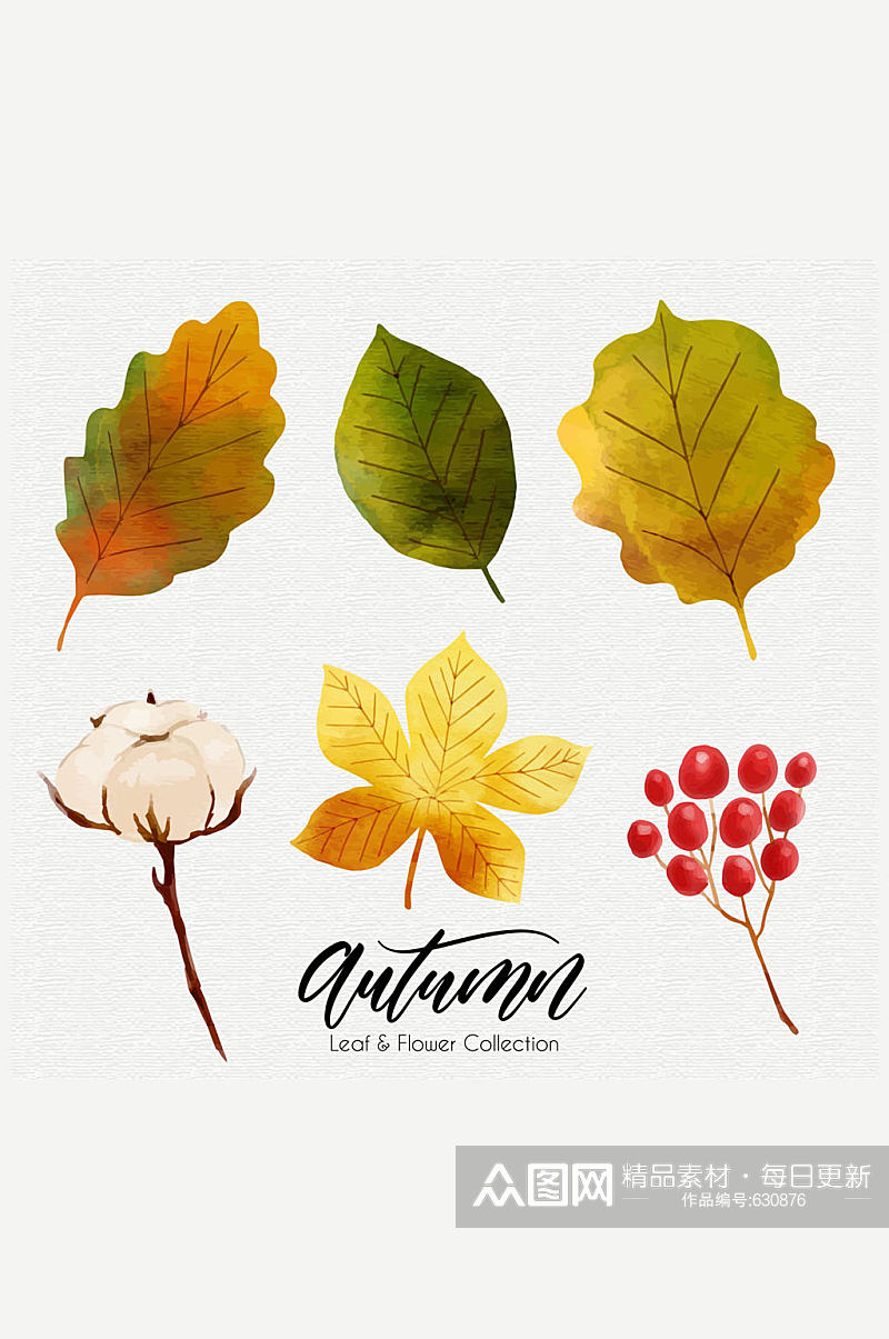 6款水彩绘秋季植物矢量素材素材