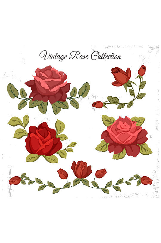 5款复古红色玫瑰花矢量素材
