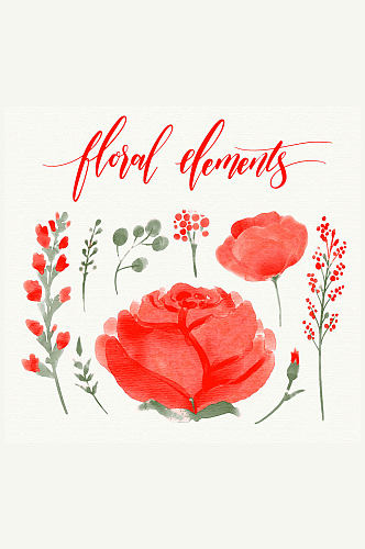 12款水彩绘红色玫瑰花卉和树叶矢量图_