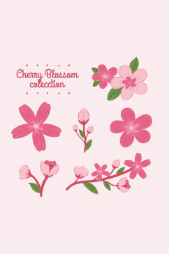 6款粉色樱花和花枝矢量素材