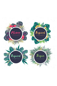 4款彩绘热带花卉框架矢量素材