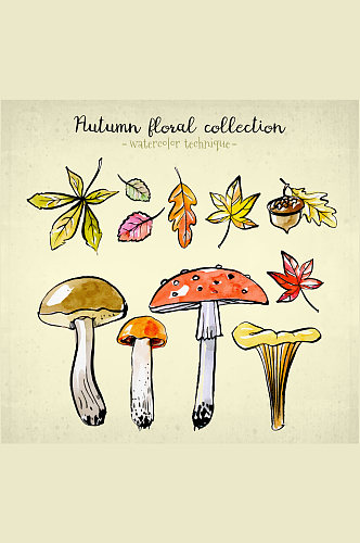 7款彩绘秋季树叶和4款蘑菇矢量图