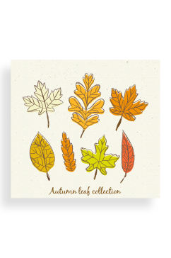 7款彩绘秋季叶子矢量素材