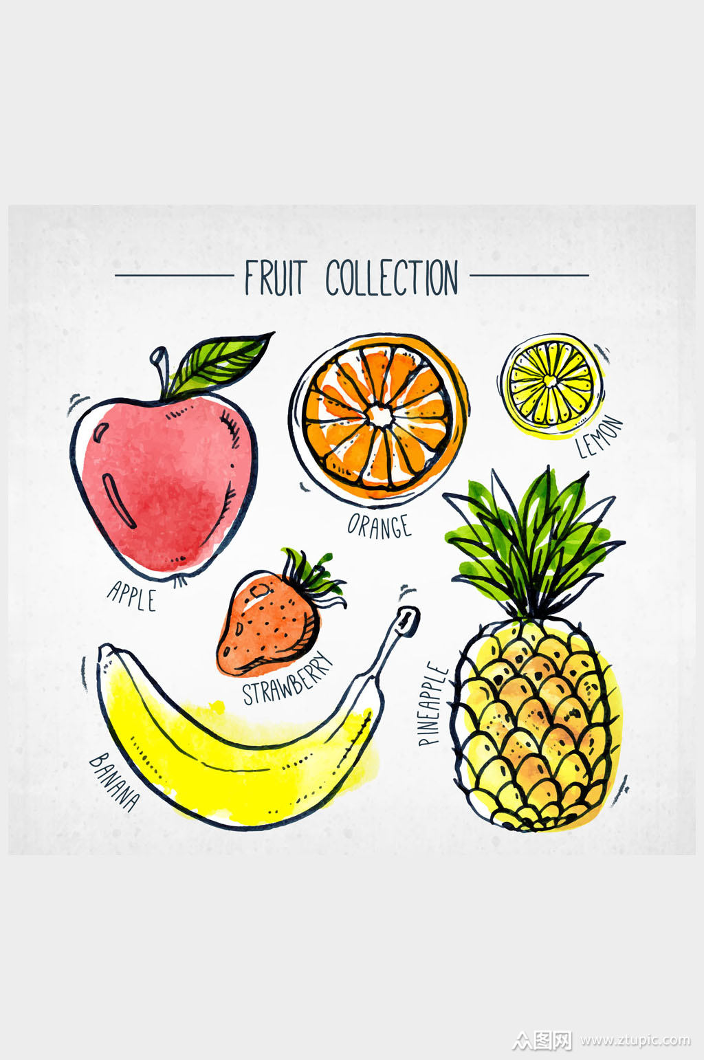 6款手绘彩色水果矢量素材