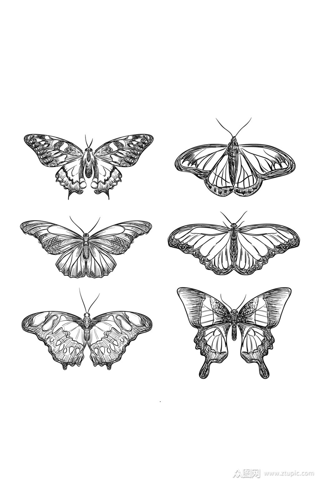 精品手绘蝴蝶元素设计