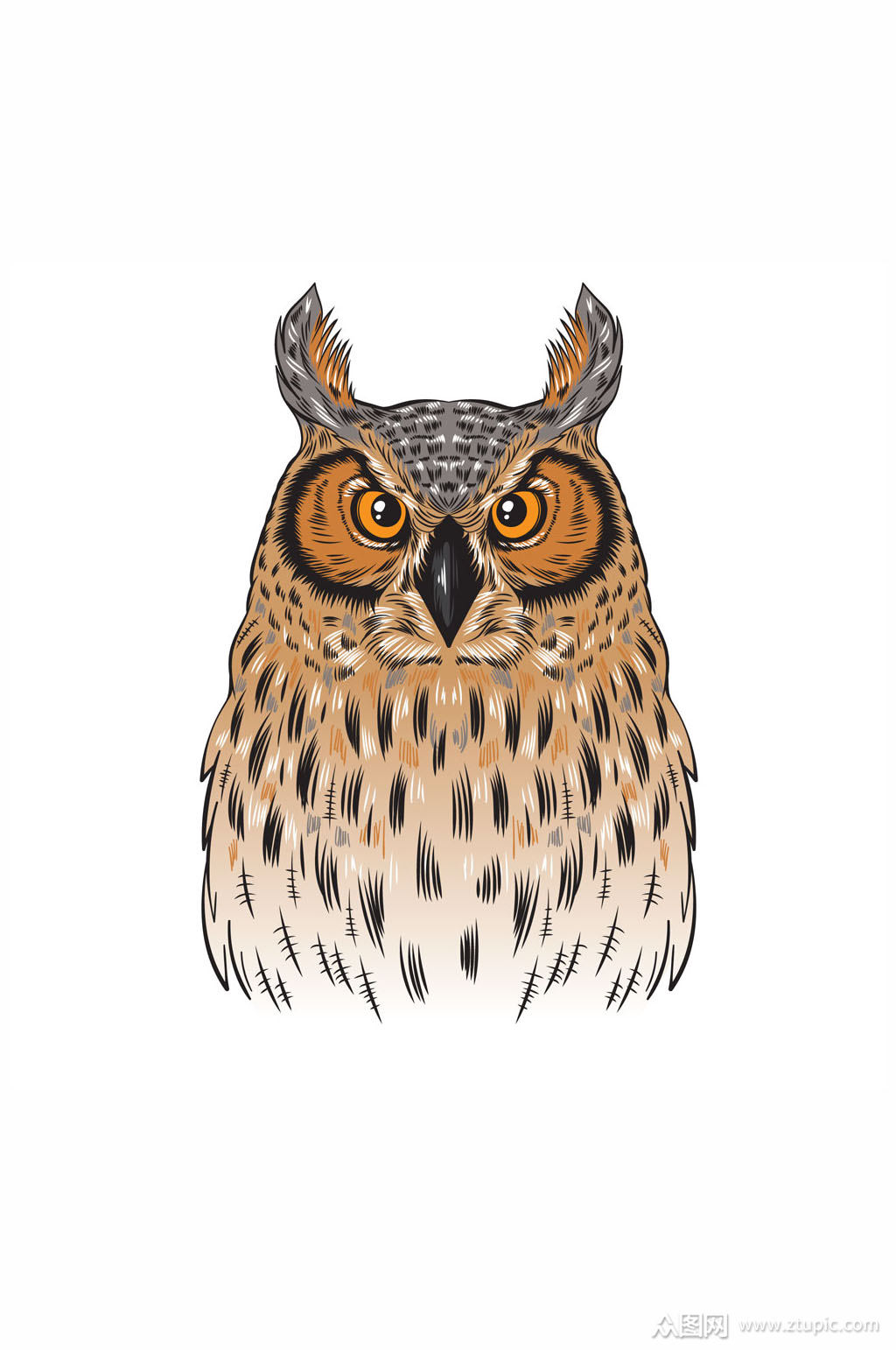 彩绘褐色猫头鹰矢量素材