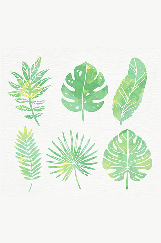 6款水彩绘绿色棕榈树叶矢量图