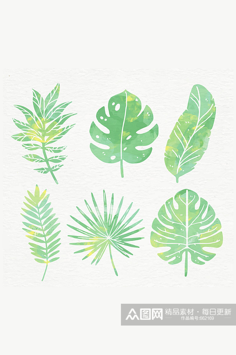 6款水彩绘绿色棕榈树叶矢量图素材