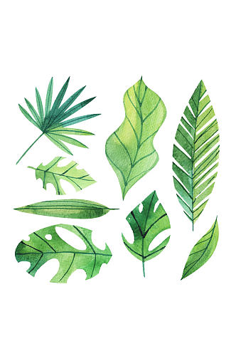 8款绿色棕榈树叶矢量素材