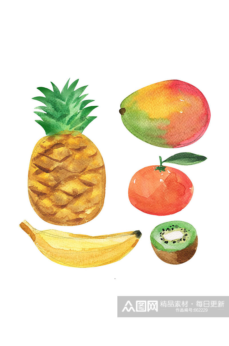 5款水彩绘水果矢量素材素材
