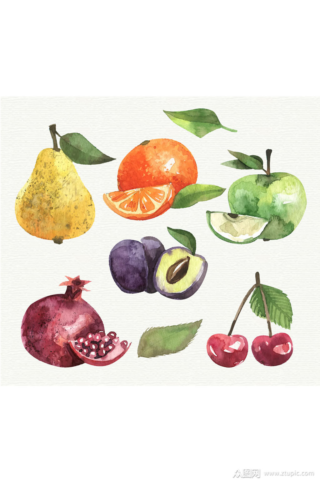 6款水彩绘水果矢量素材