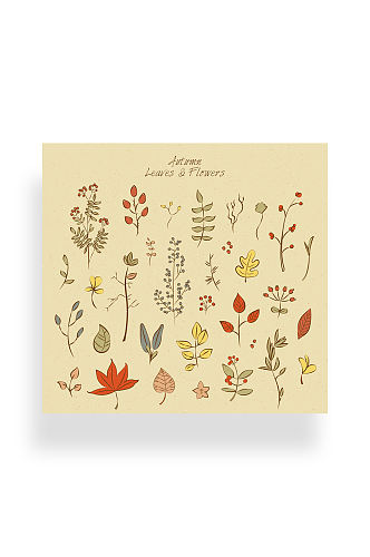 31款彩绘秋季叶子和花卉矢量图