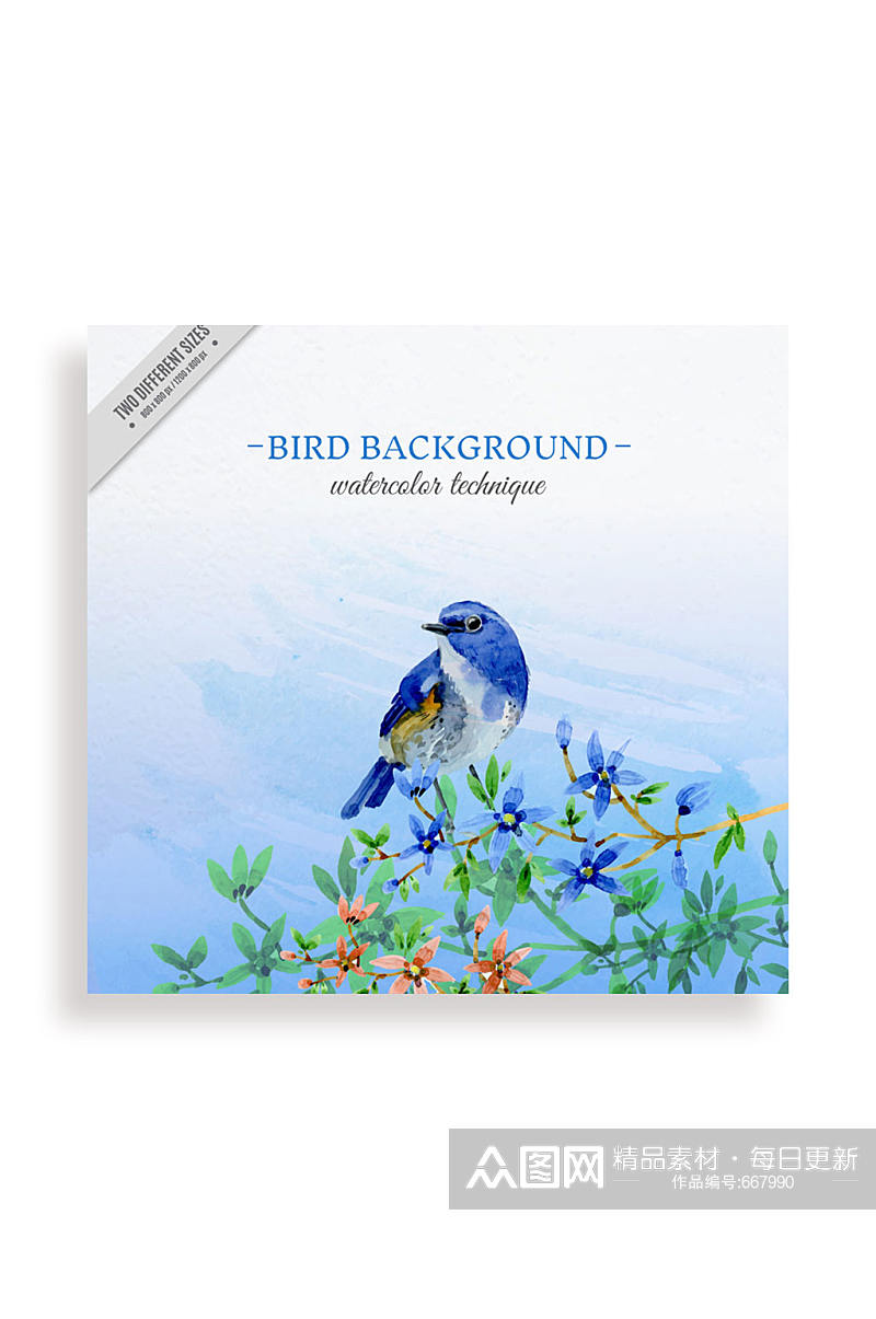水彩绘蓝色鸟和花卉矢量图素材