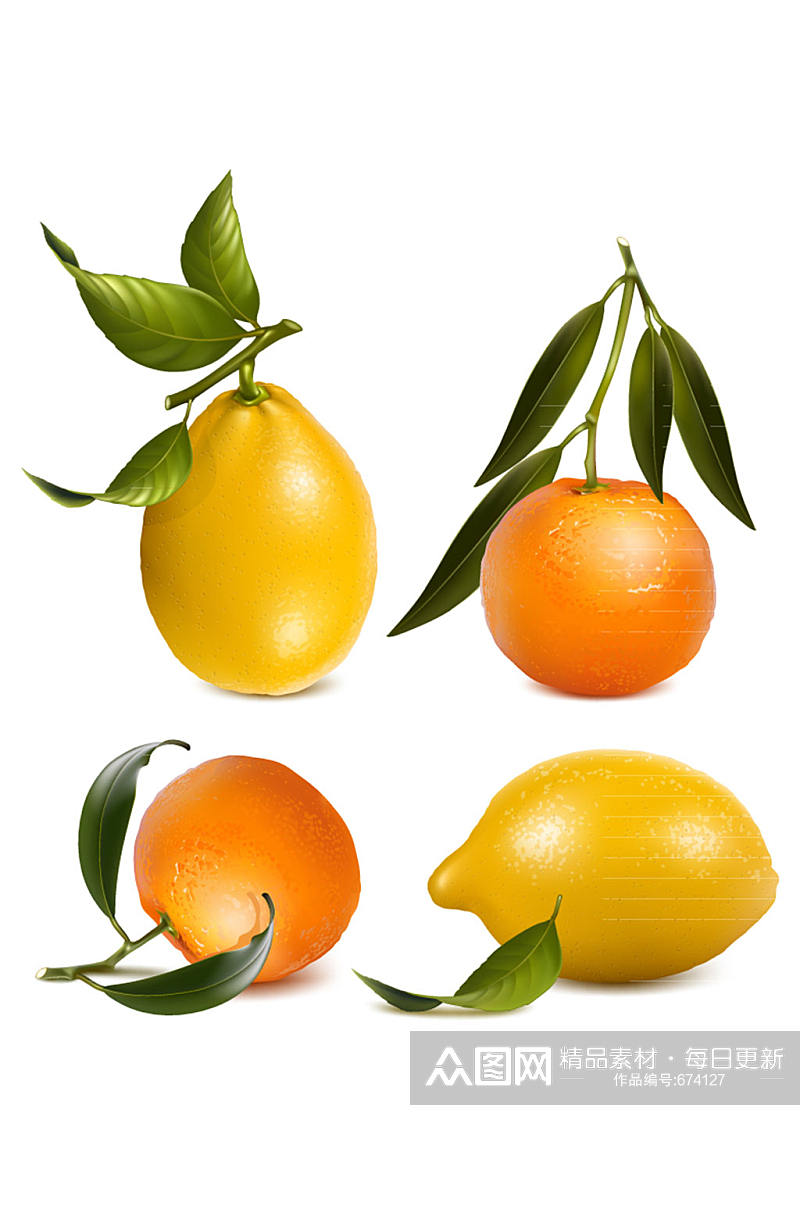 4款新鲜橙子和柠檬矢量素材素材