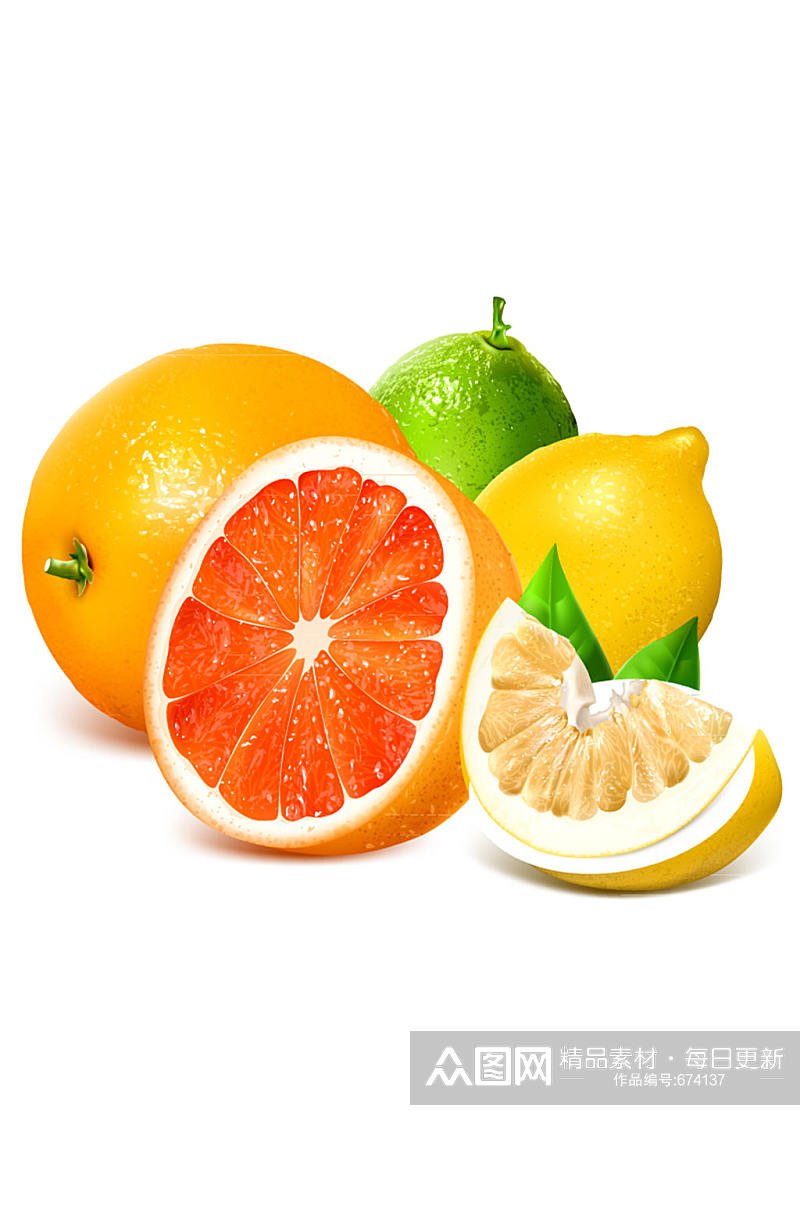 新鲜西柚橙子和柠檬矢量素材素材