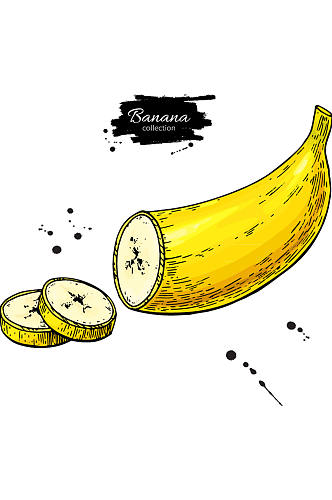 切片的黄色香蕉矢量素材