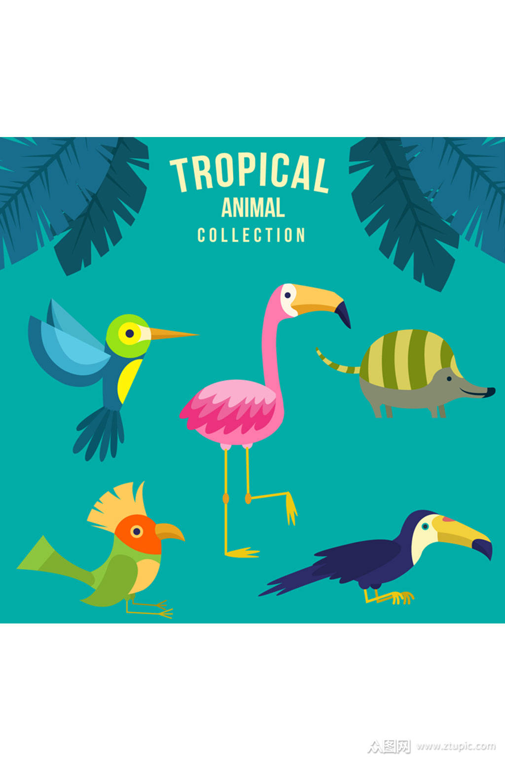5款卡通热带动物矢量素材