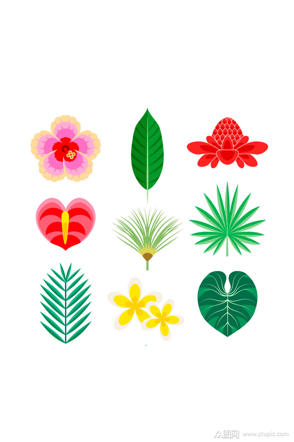 9款彩色热带花卉和叶子矢量素材