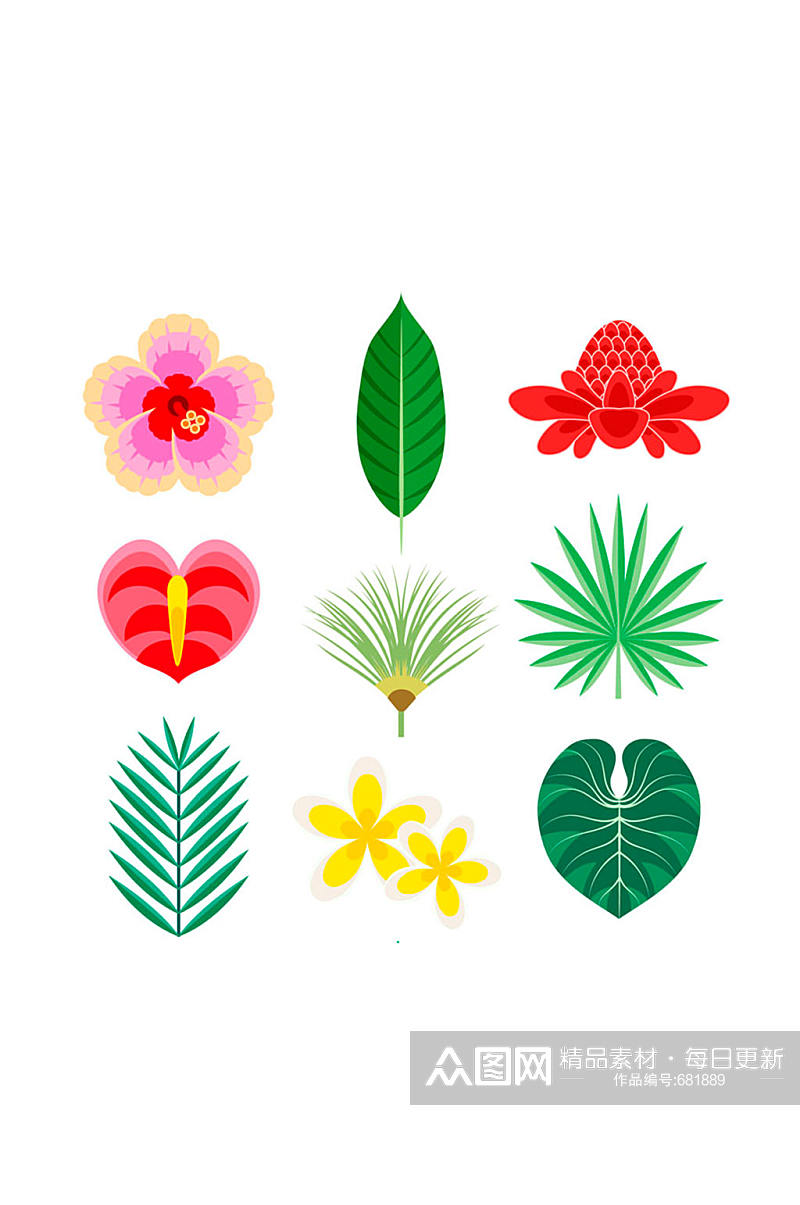9款彩色热带花卉和叶子矢量素材素材