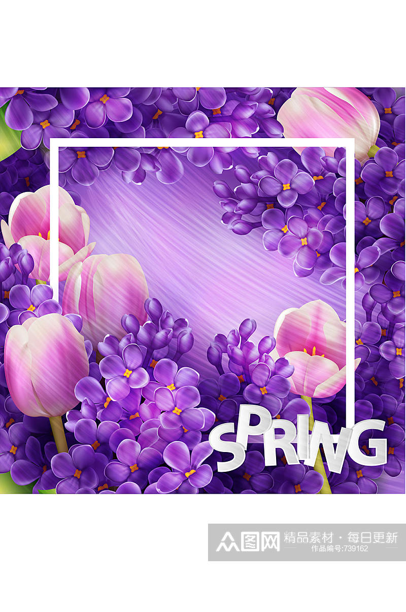 精美紫色花卉矢量素材素材