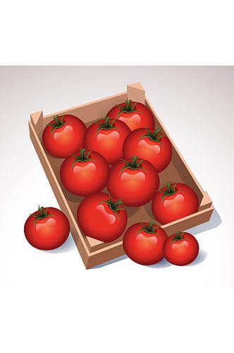 精美红色西红柿矢量素材