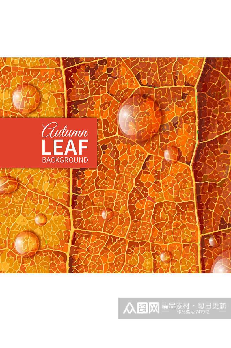 带露珠的秋季树叶矢量素材素材