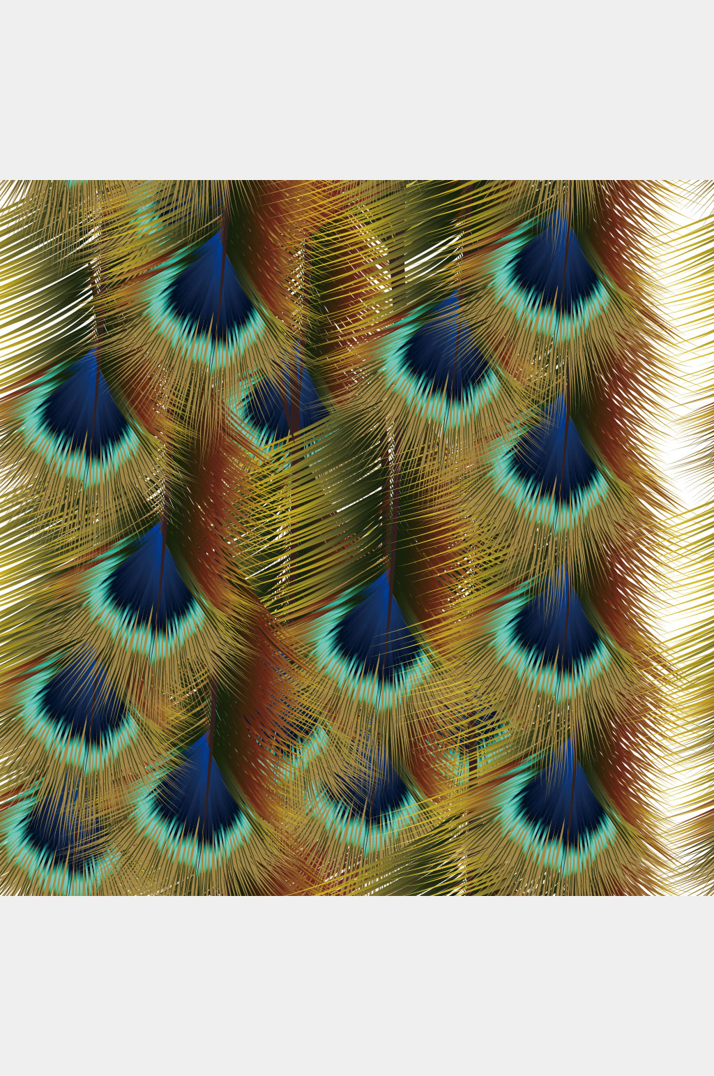 逼真孔雀羽毛矢量素材元素