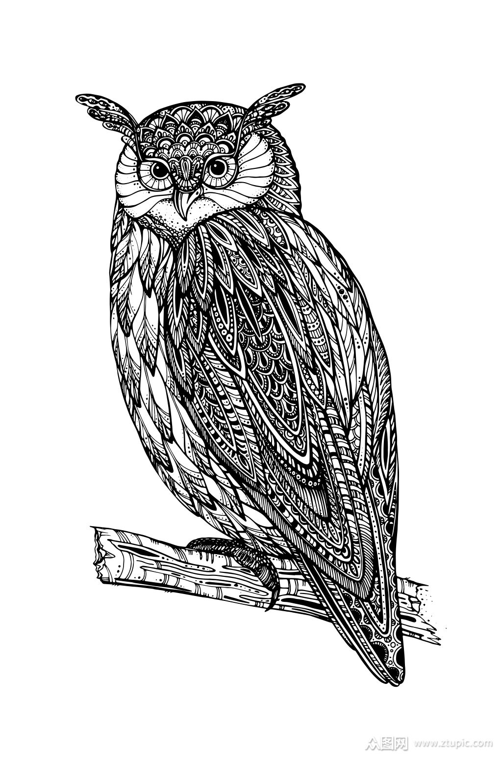 手绘猫头鹰设计矢量图素材