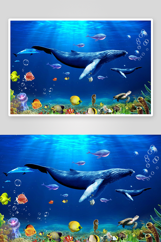 海底世界海洋生物