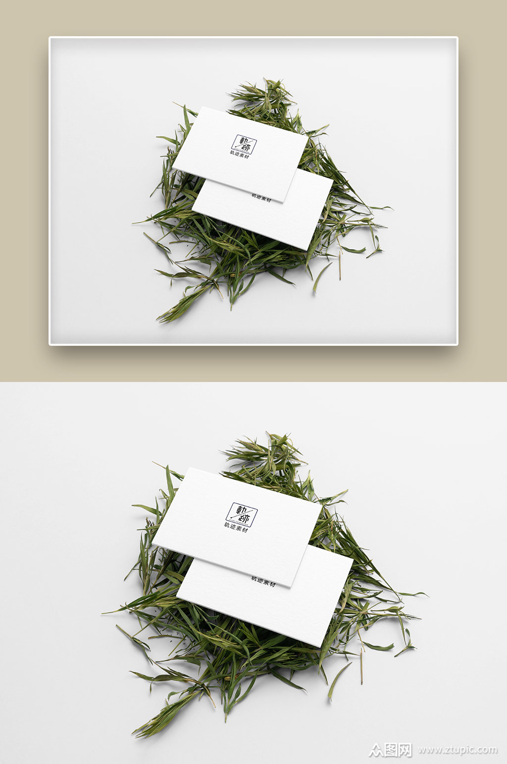 大气高端茶叶品牌文创样机