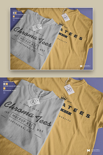 黄色灰色简洁简约英文图案T恤样机
