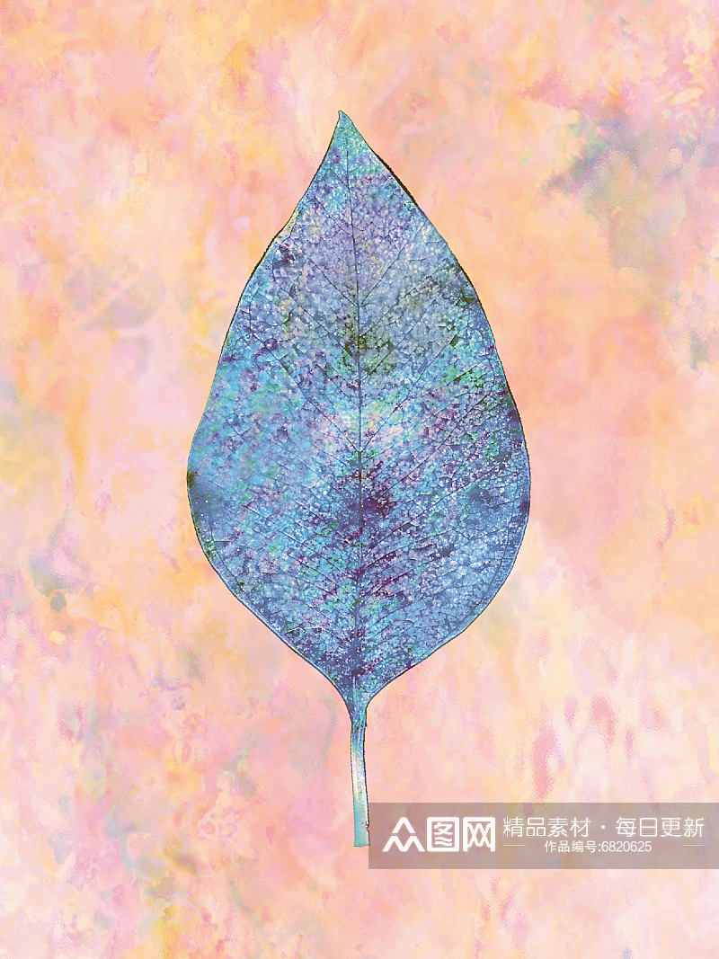 复古花卉植物海报背景图片素材