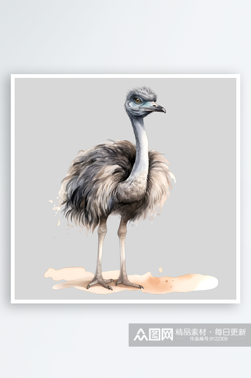 水彩手绘鸵鸟png素材素材