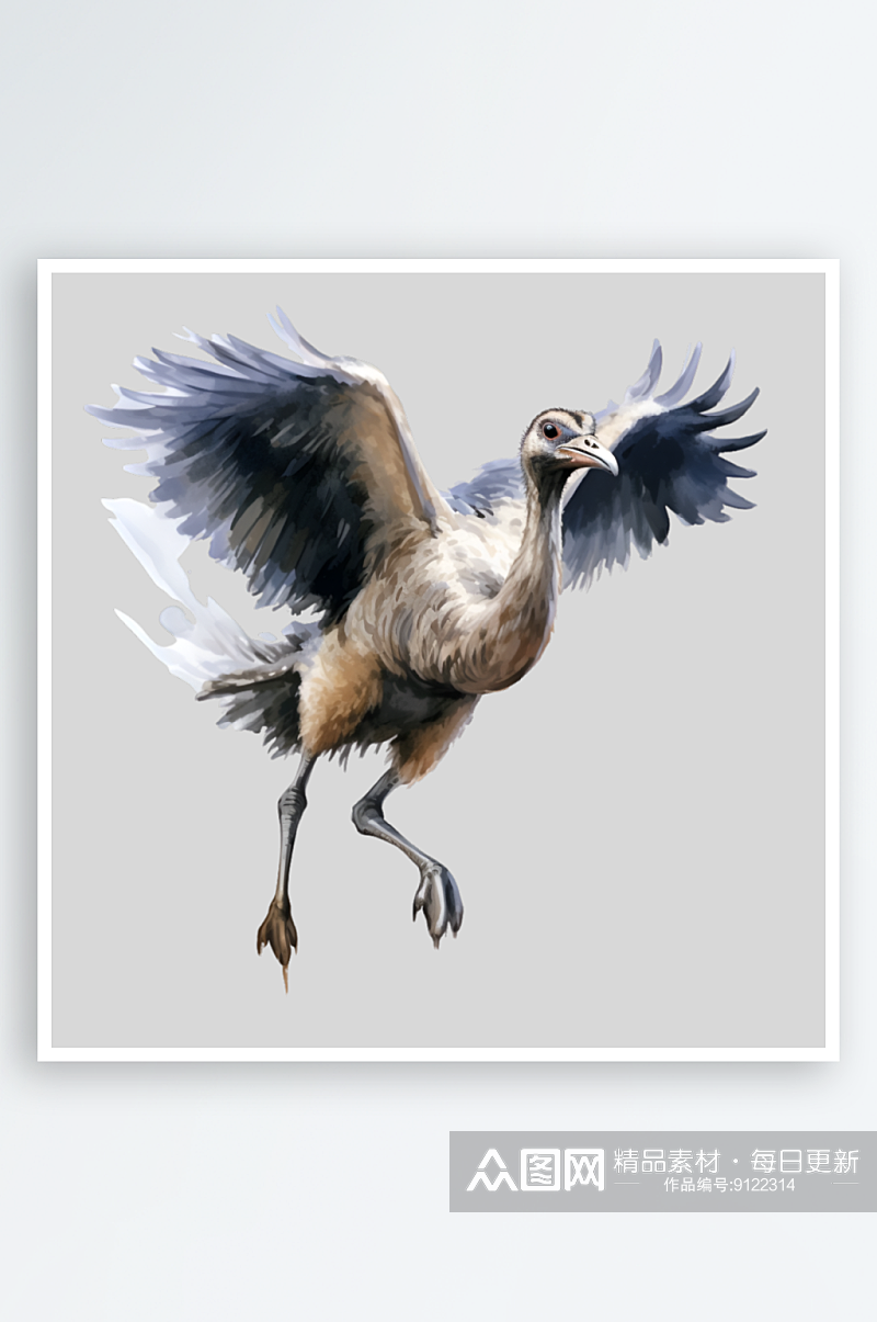 水彩手绘鸵鸟png素材素材