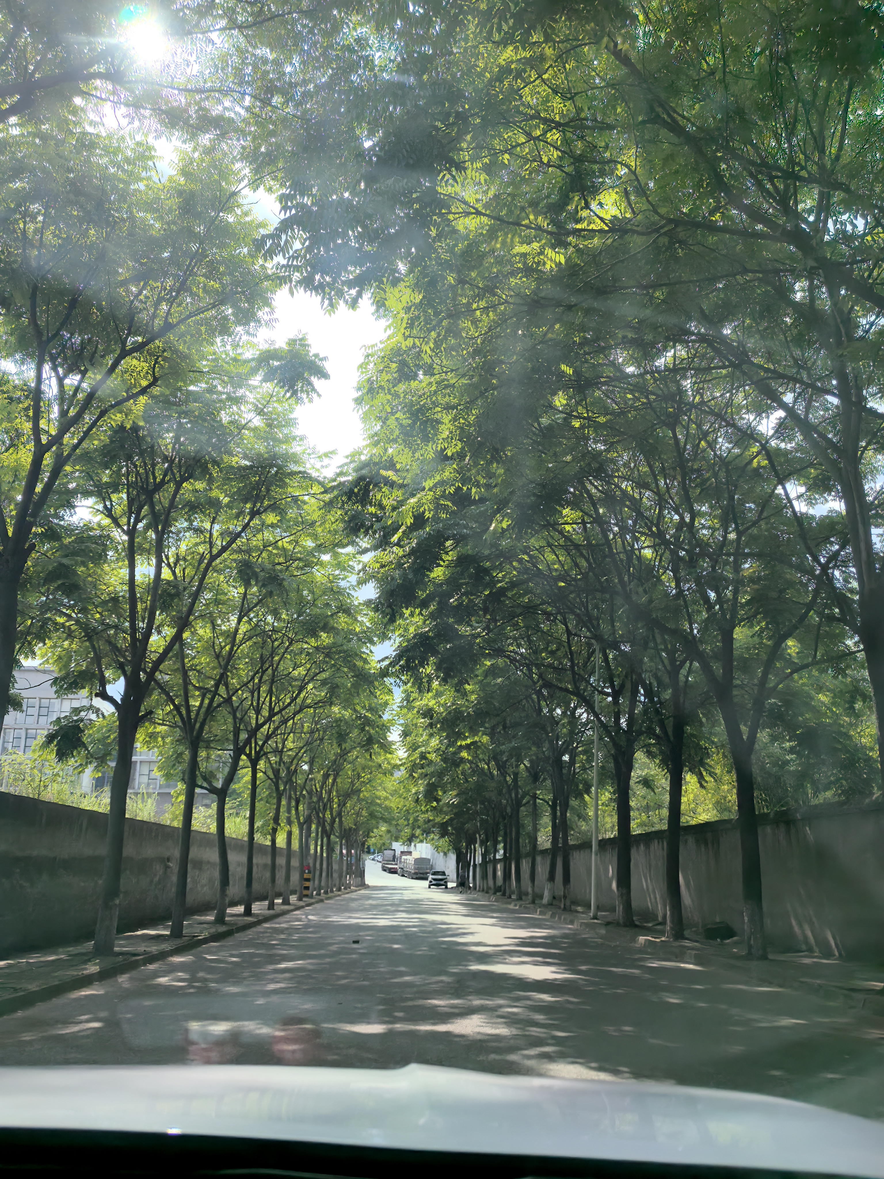 行车视角沿途风光素材