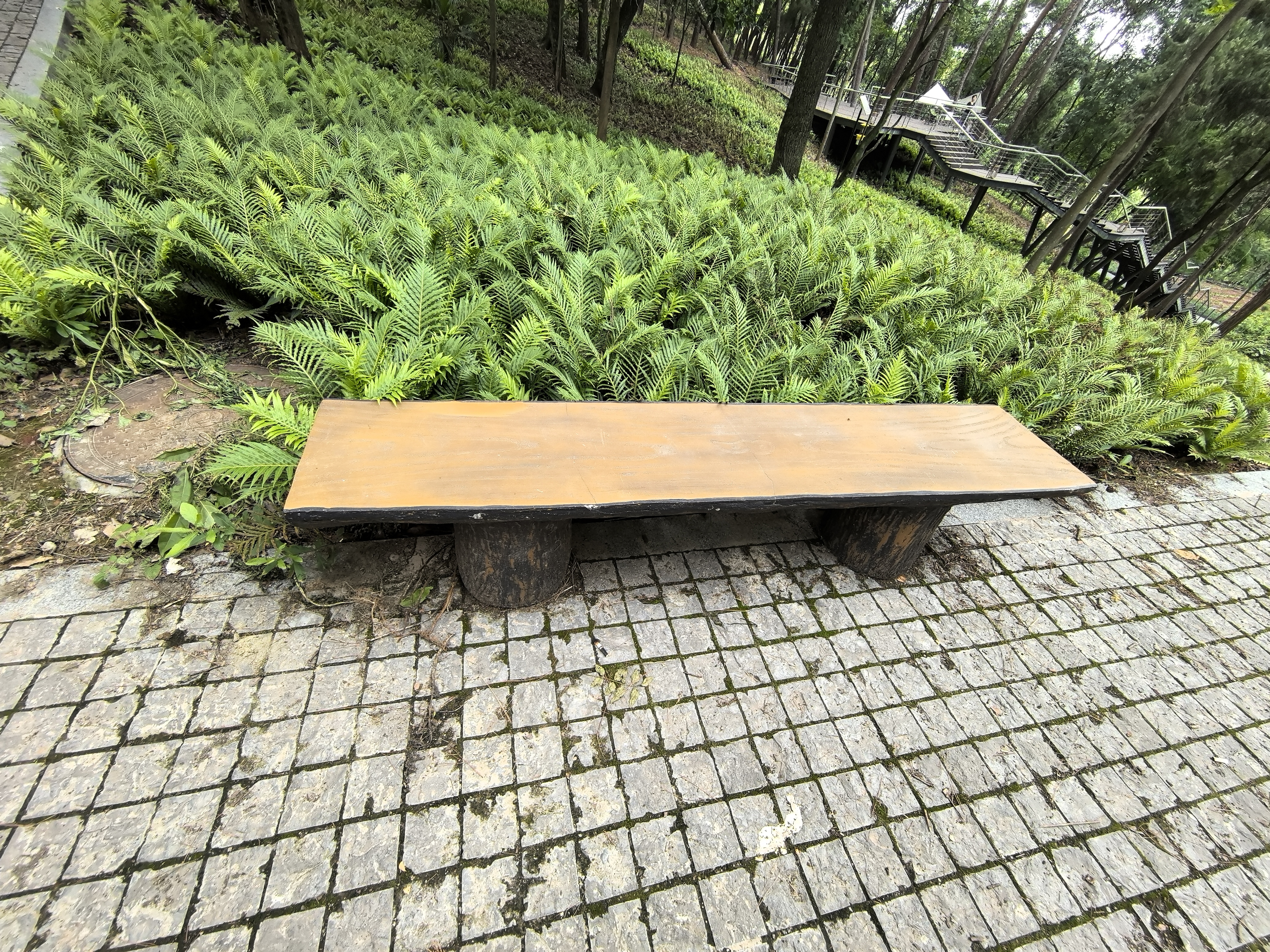 森林里的休闲长椅素材
