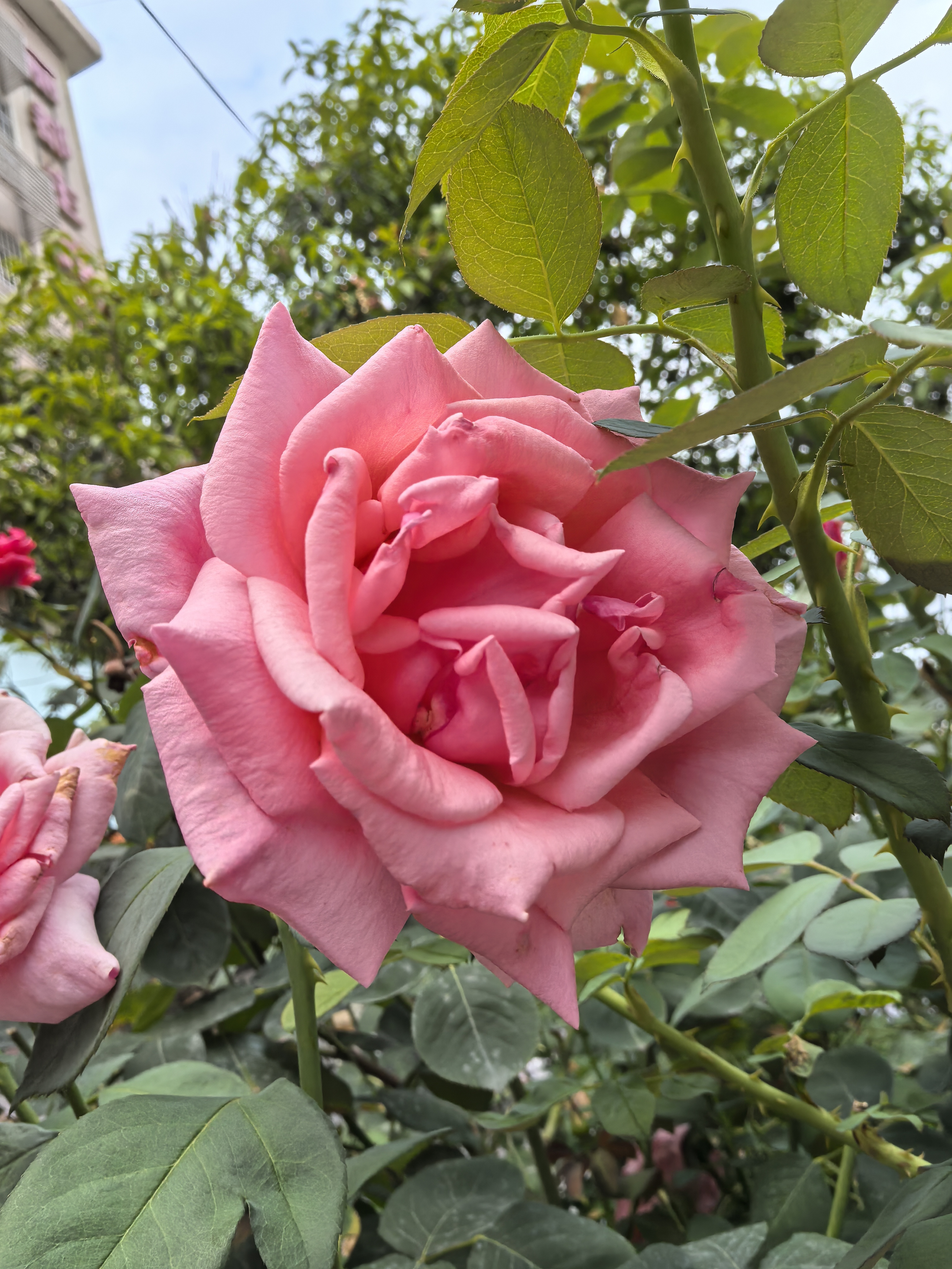 生态自然与田园风光素材